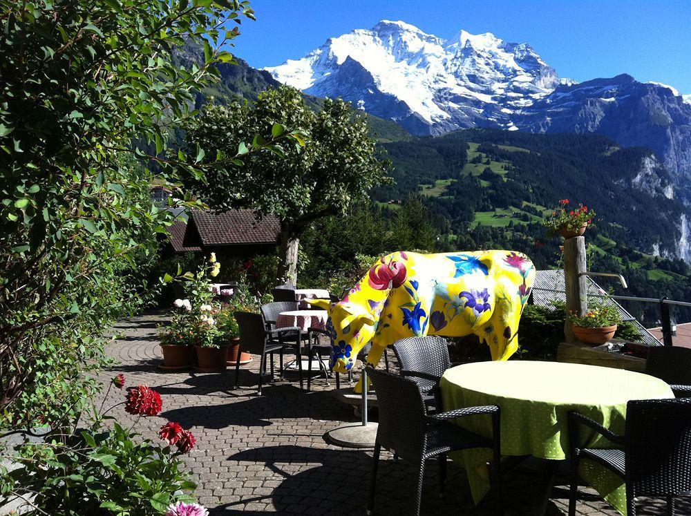 Minotel Bellevue Wengen Extérieur photo