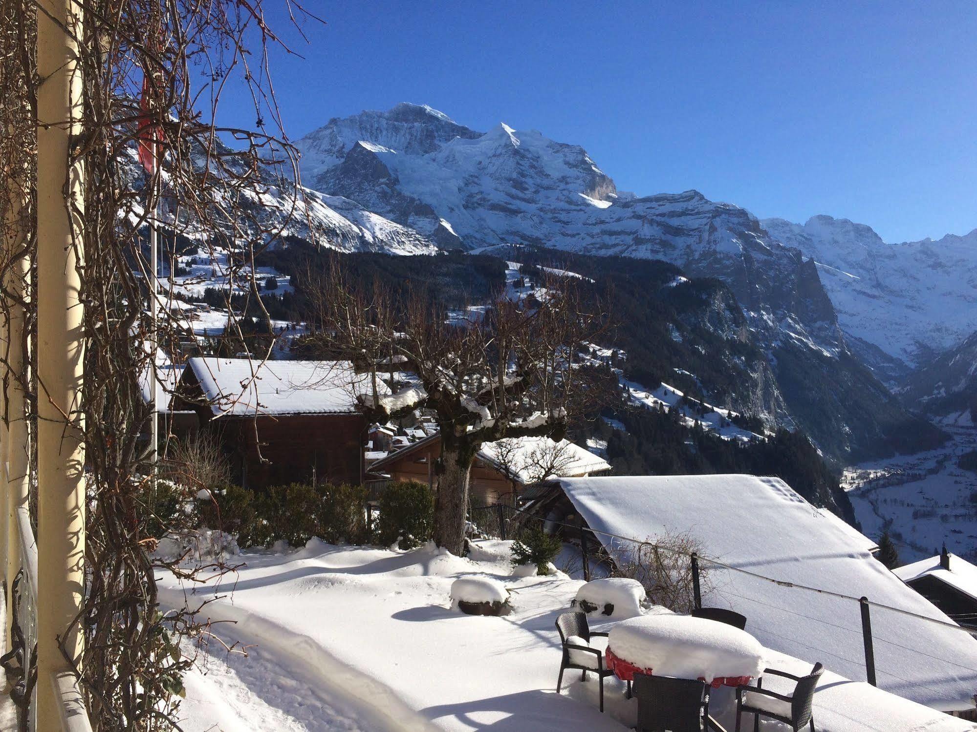 Minotel Bellevue Wengen Extérieur photo