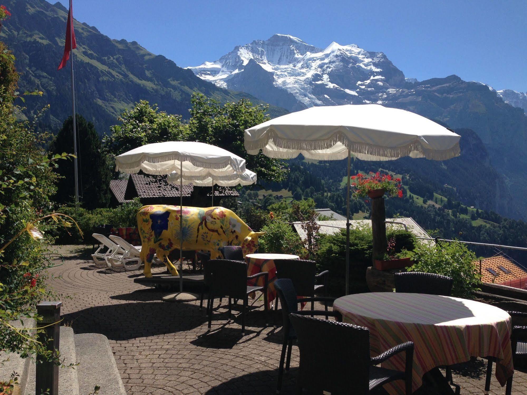 Minotel Bellevue Wengen Extérieur photo